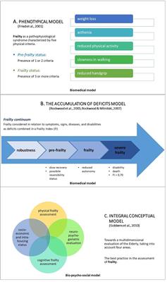 A Possible Association Between Executive Dysfunction and Frailty in Patients With Neurocognitive Disorders